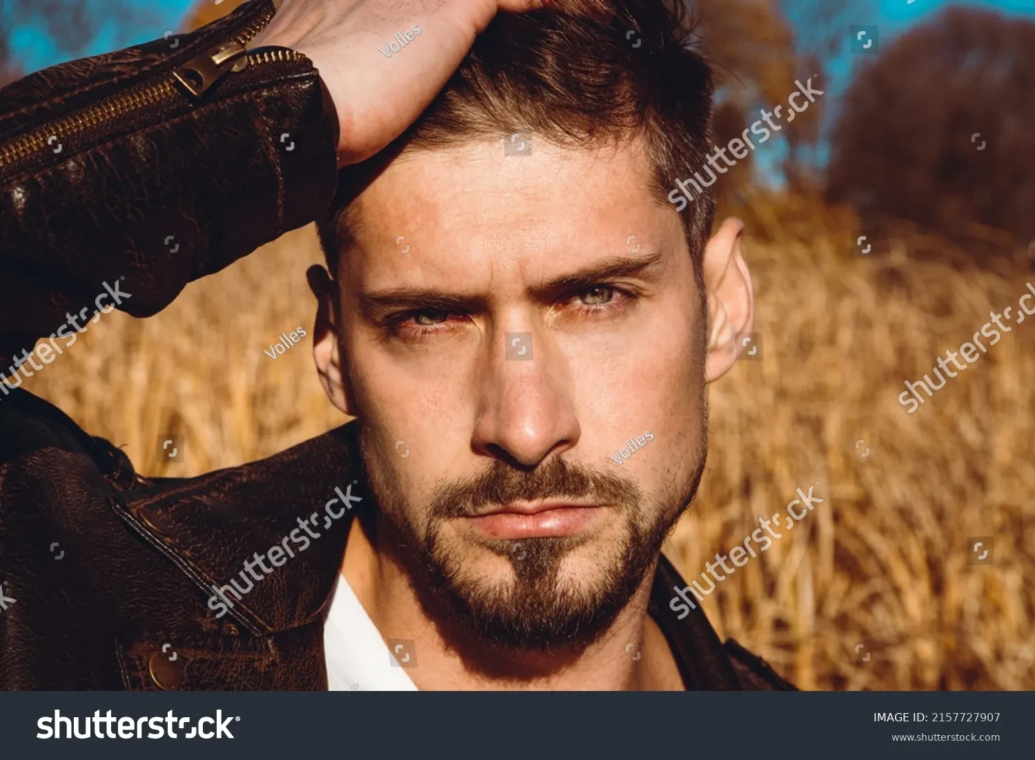 Man with stylish haircut and beard