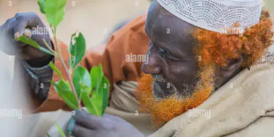 img/1948_khat-beard-styles-a-comprehensive-guide.webp