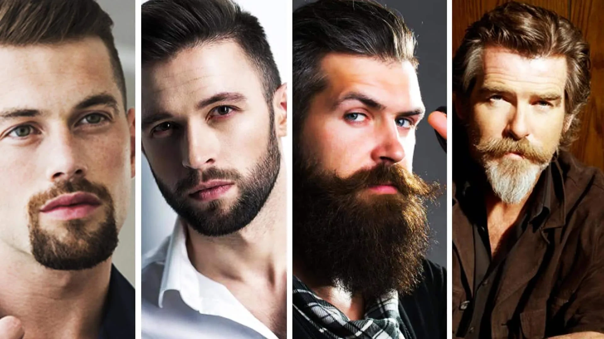different beard styles