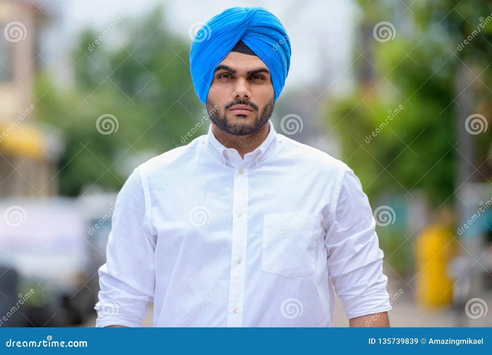 short groomed sikh beard 2024