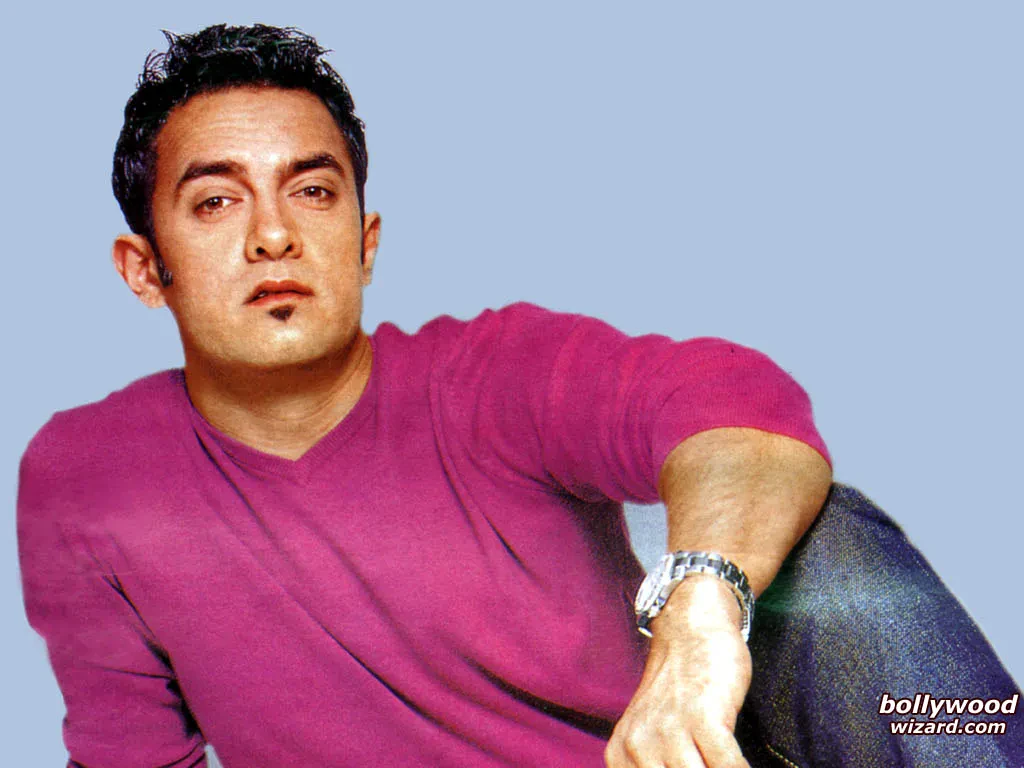 Aamir Khan Dil Chahta Hai Beard 2024