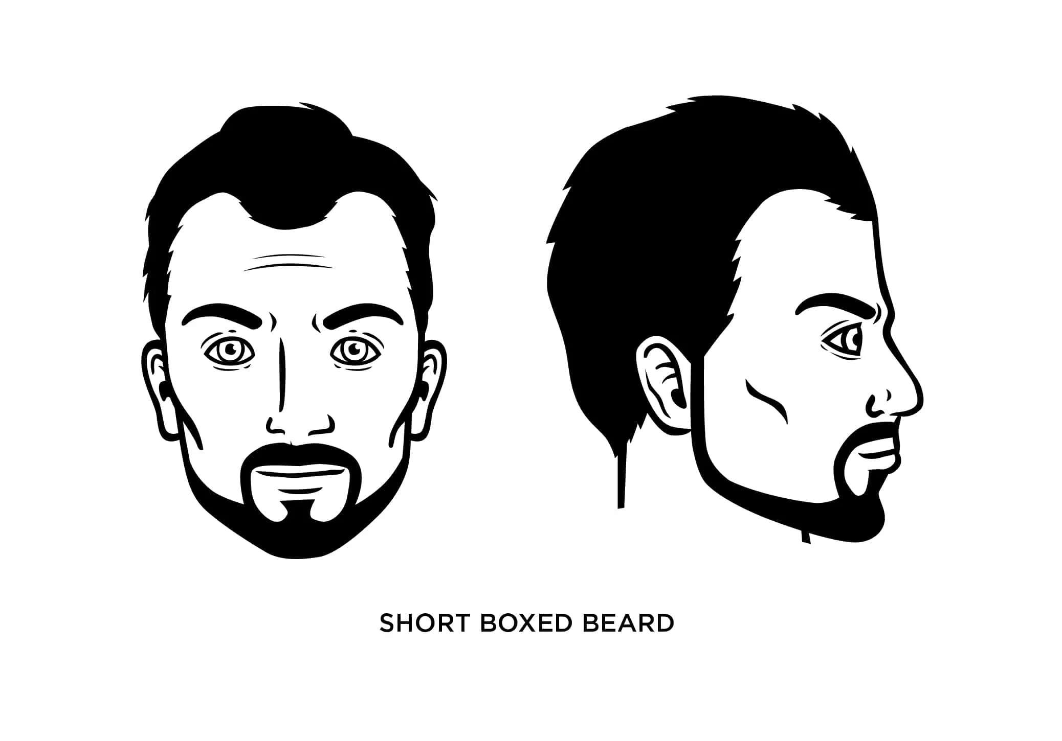 80s short boxed beard