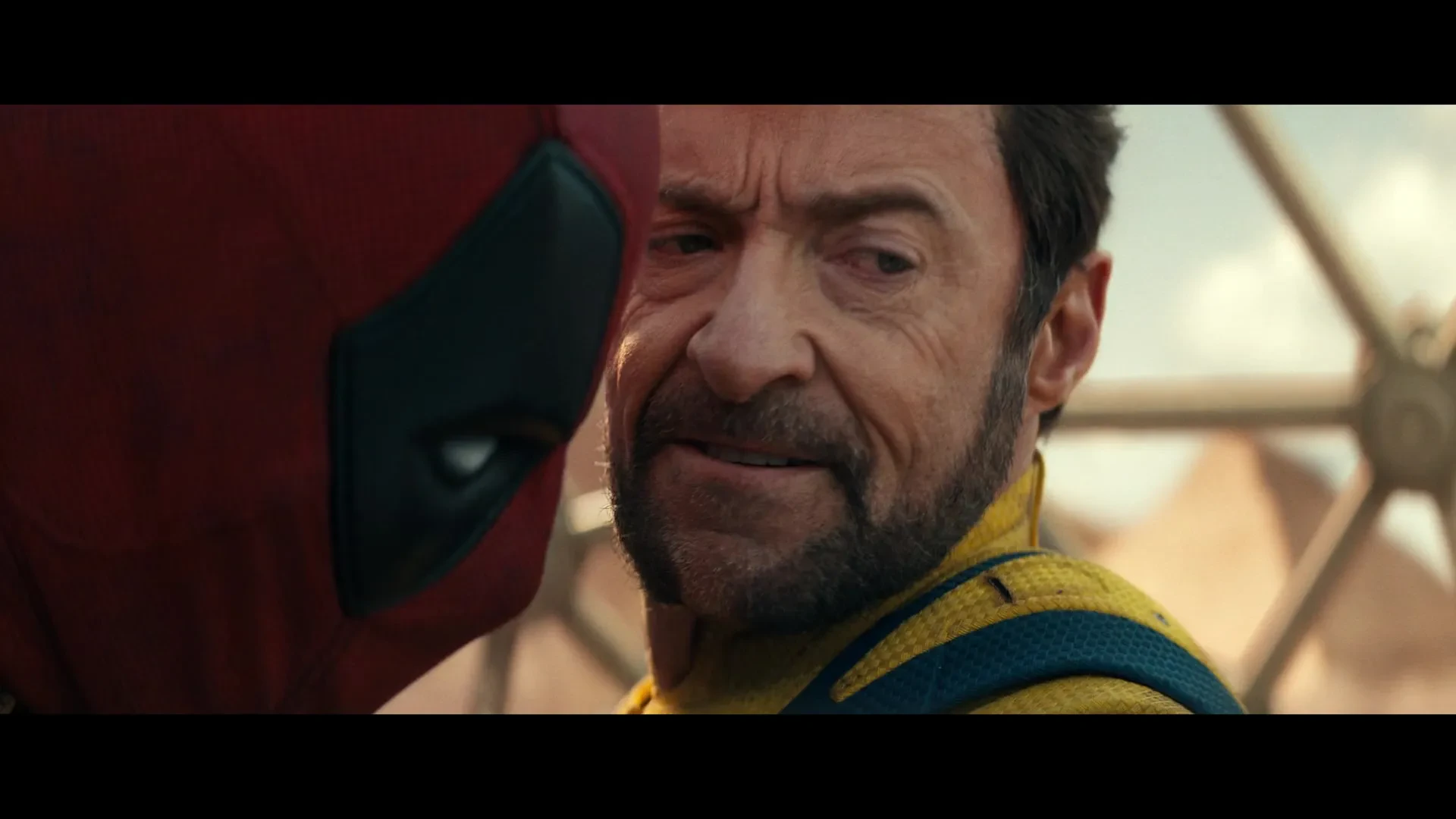 Wolverine beard 2024