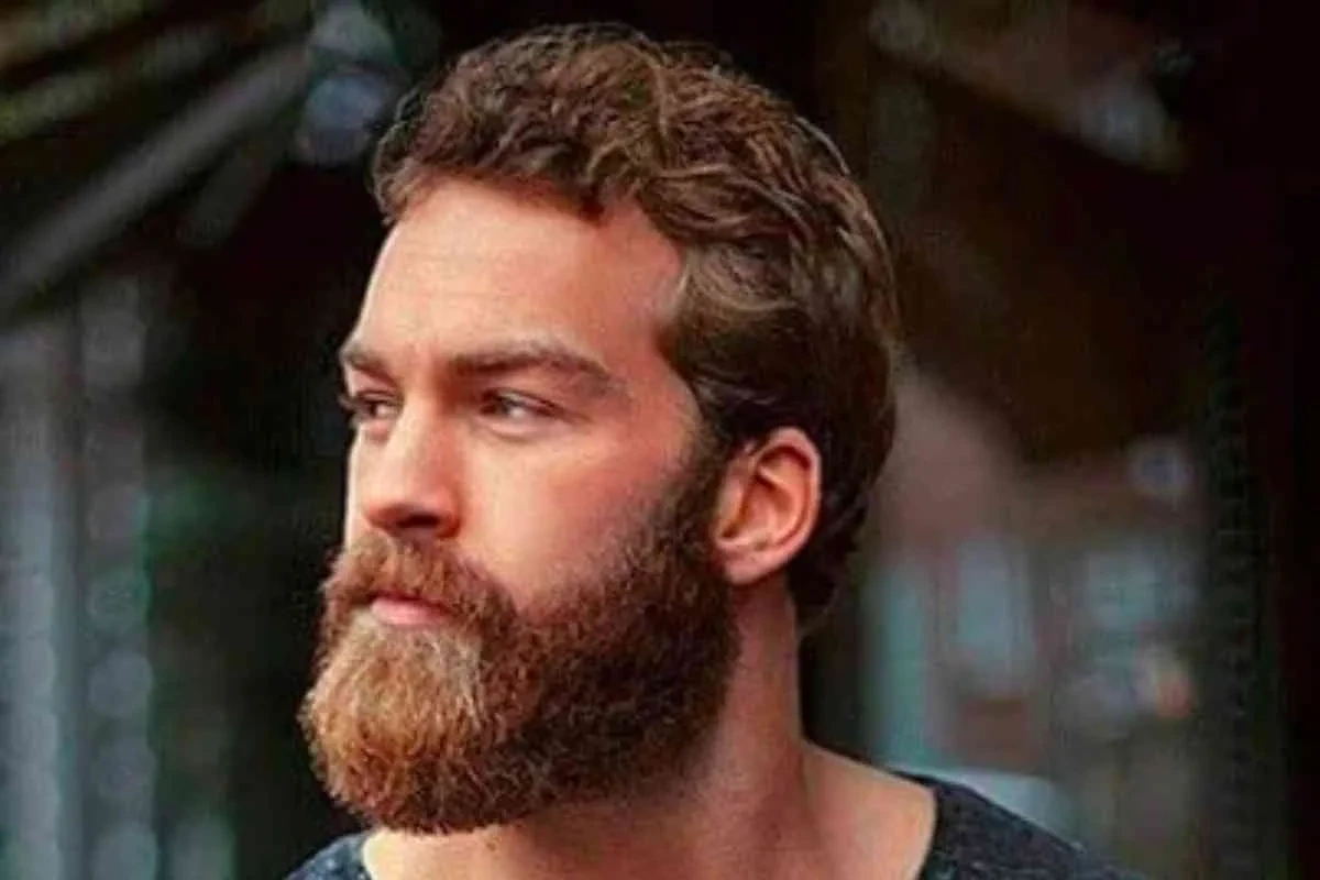 Short boxed beard example