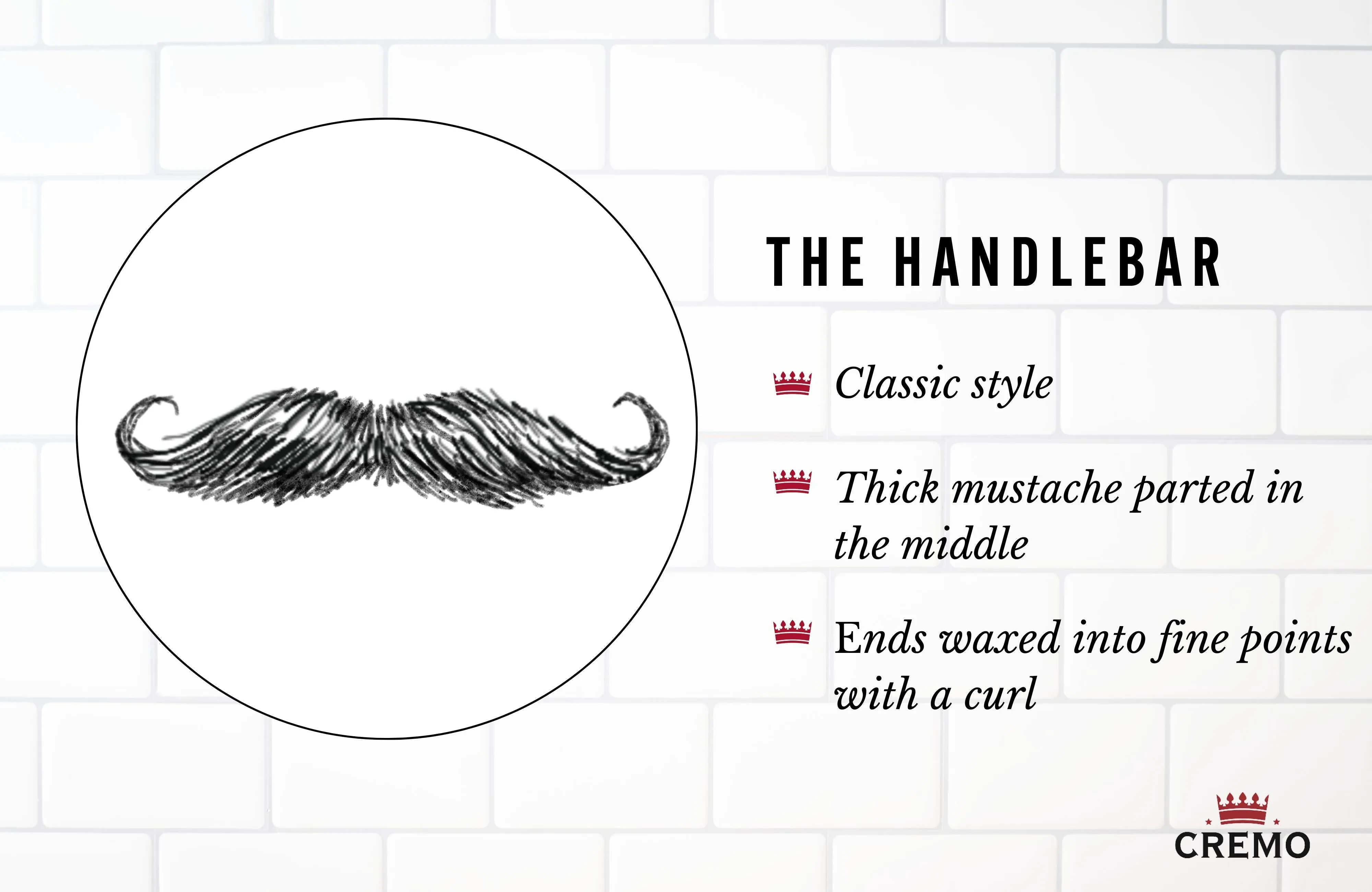 Handlebar Mustache 2024