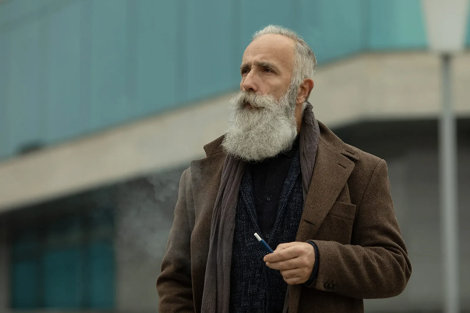 Modern take on Garibaldi beard 2024