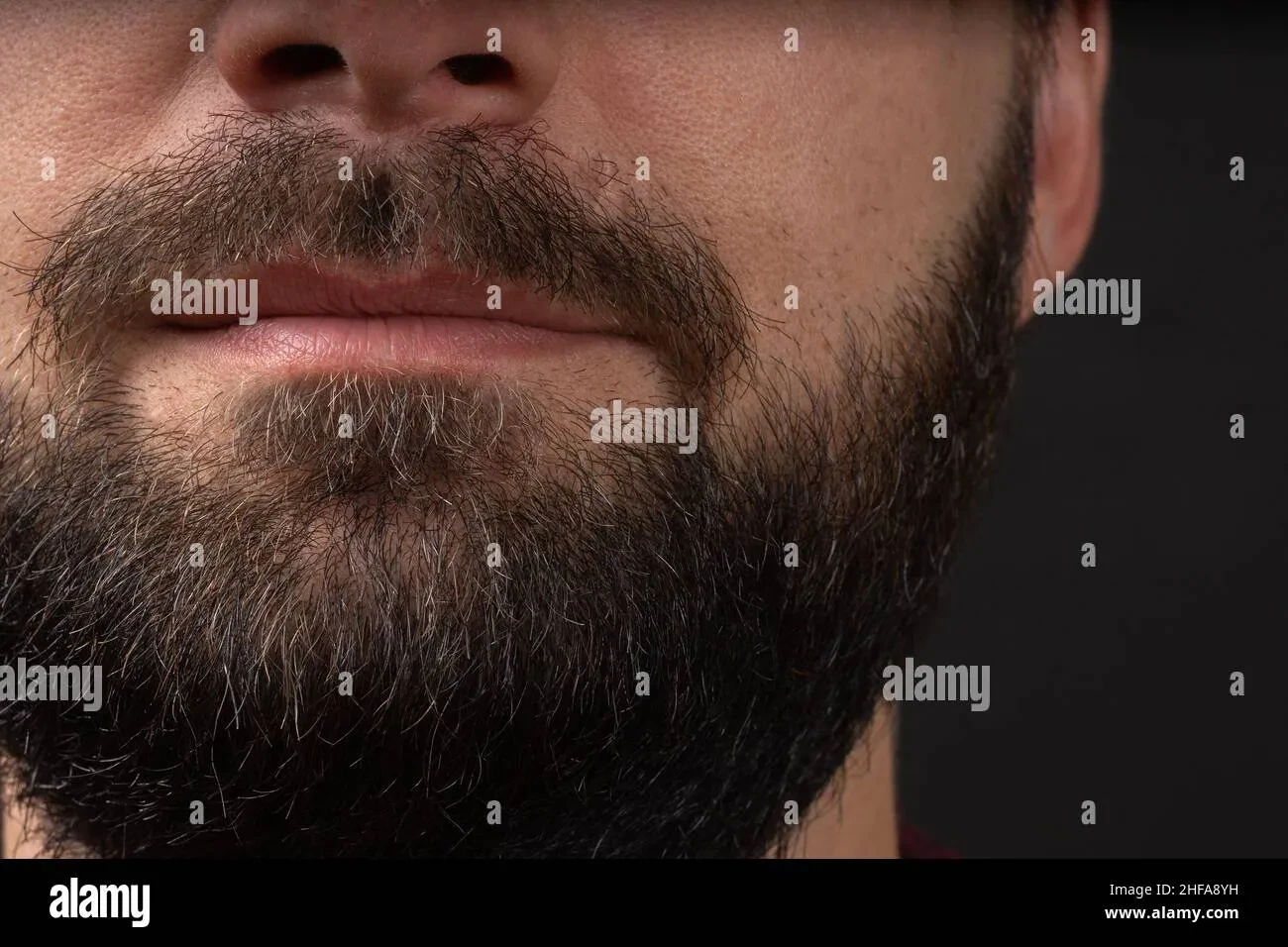 Man with a well-groomed full beard