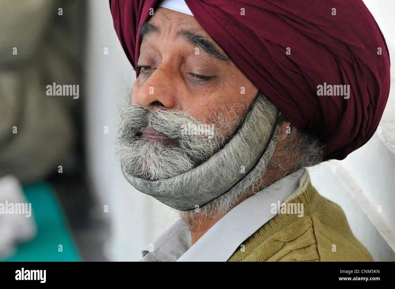 Styled Punjabi Beard with Mustache