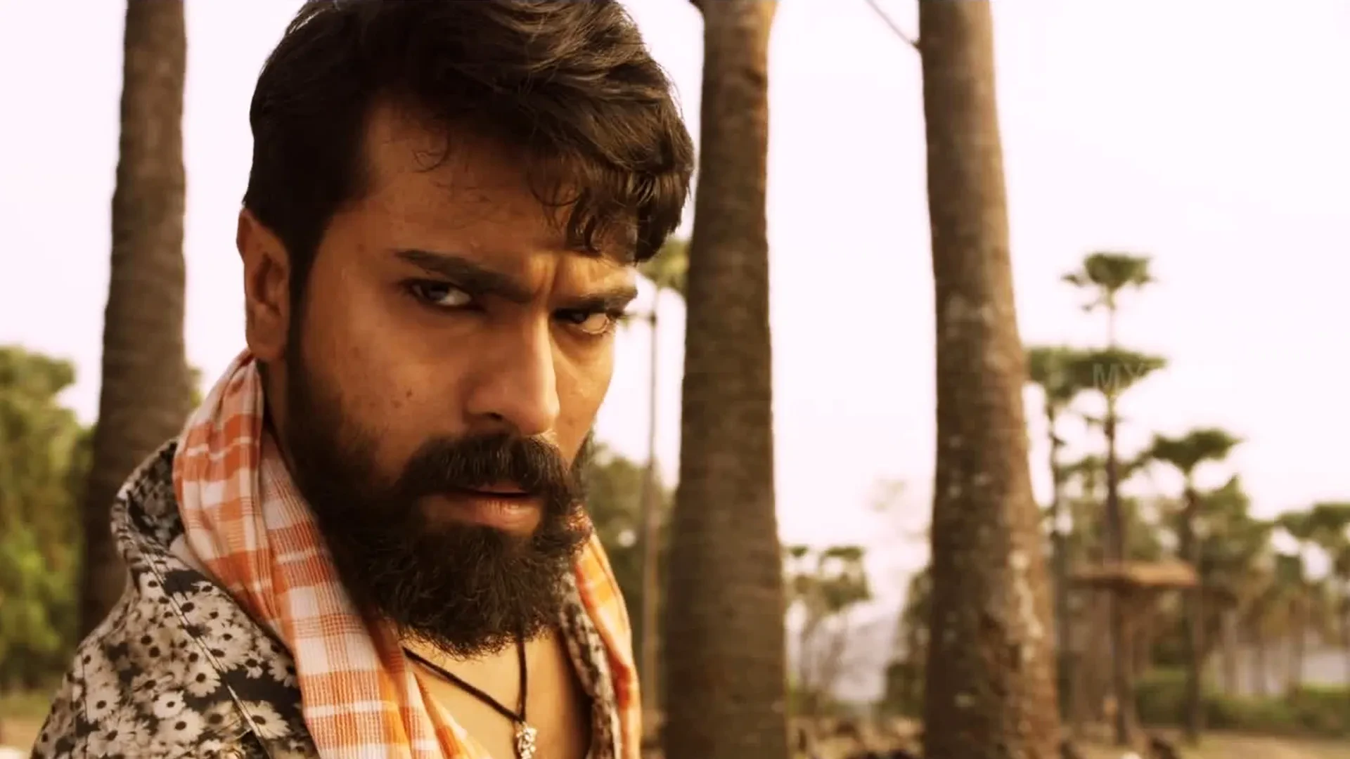 img/2061_ram-charans-killer-beard-in-rangasthalam.webp