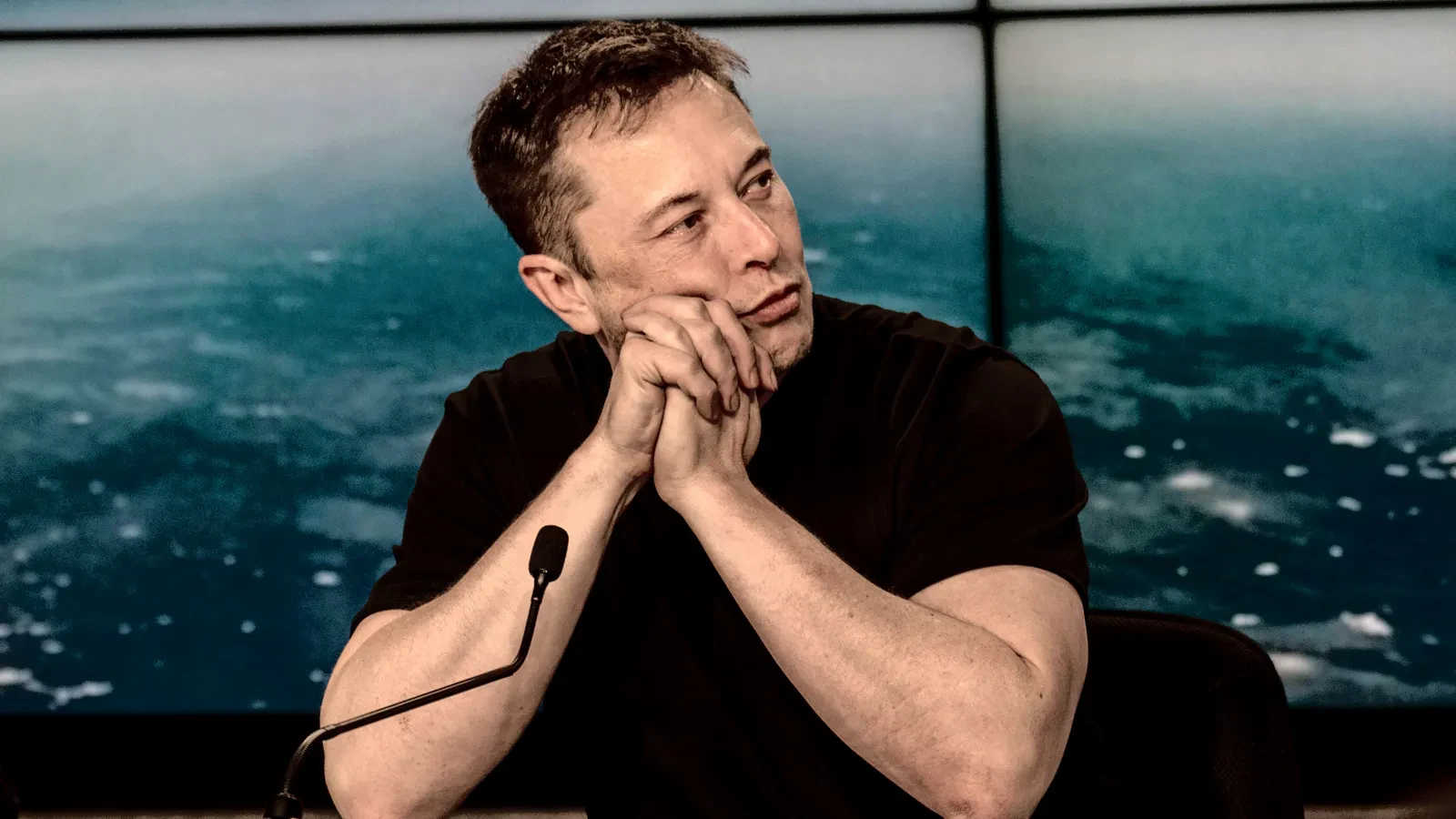 Elon Musk stubble 2024