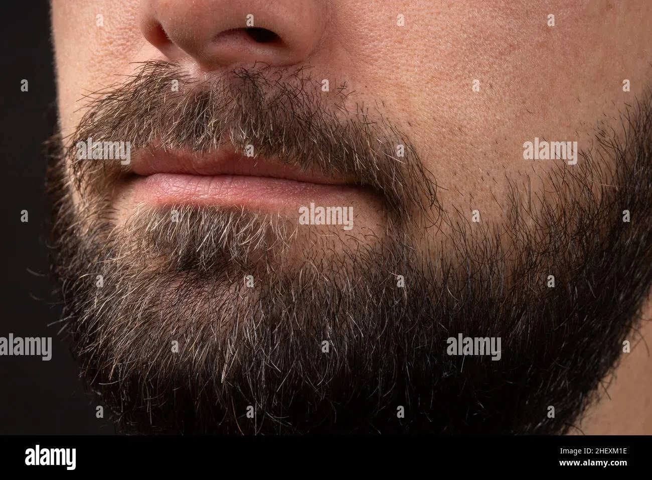 Bulgan beard close up