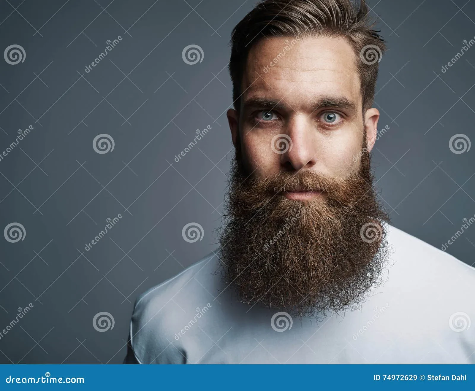 Long Groomed Beard